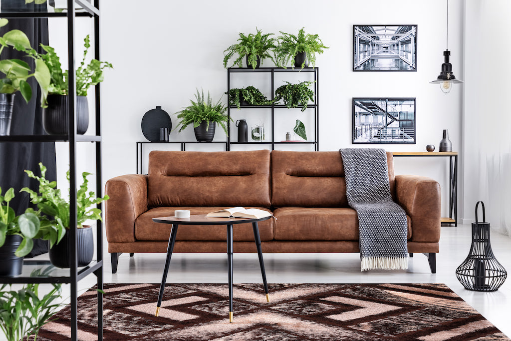 Luxury Shaggy Rugs South Africa Ra'ees Luxury Rugs Edura Online EDURA