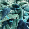 Stallion 2.2kg Double/ Queen Supersoft Mink Embossed Blanket | 002